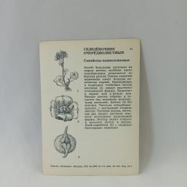 Картинка 2