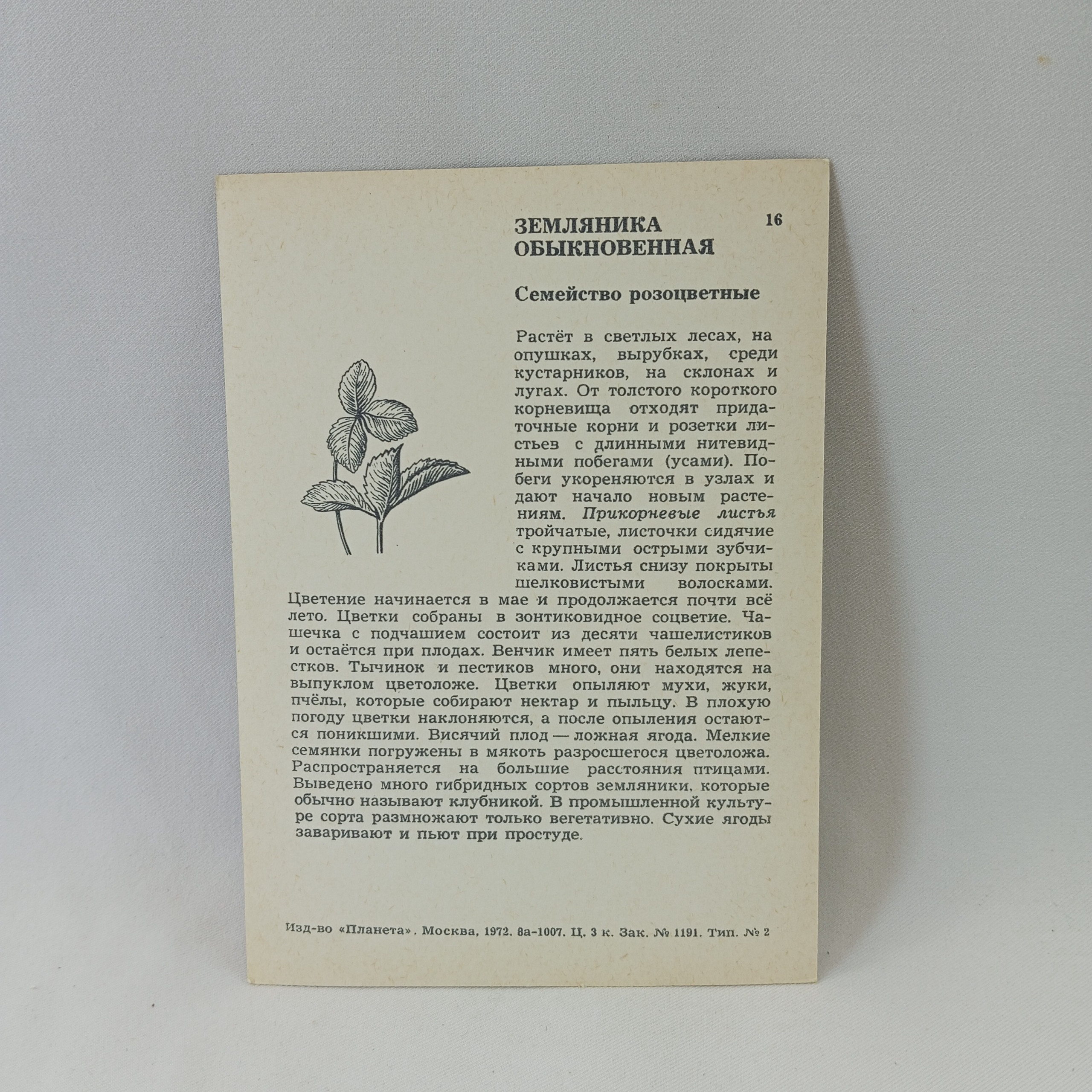 Картинка 2