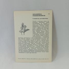 Картинка 2