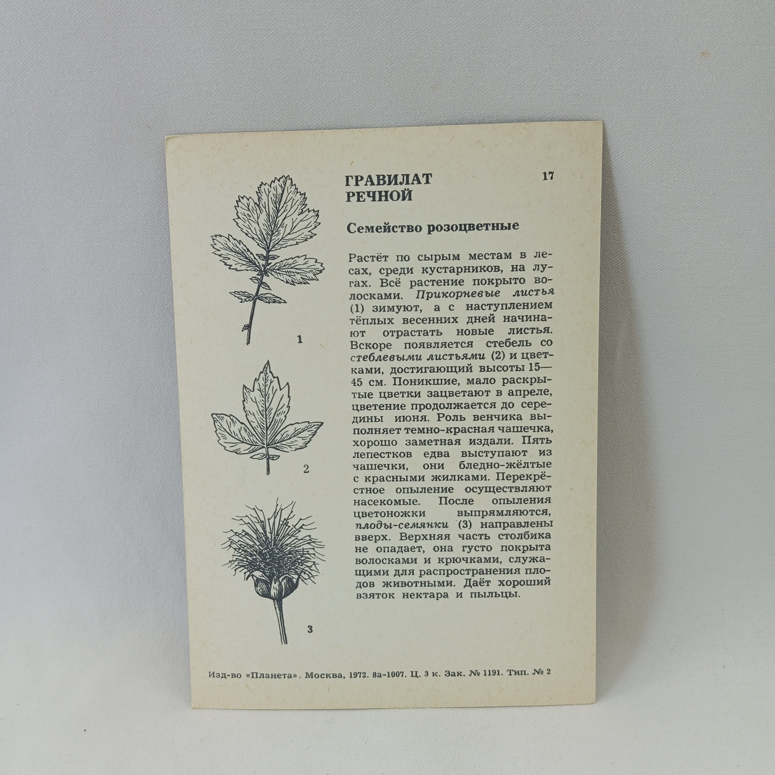Картинка 2