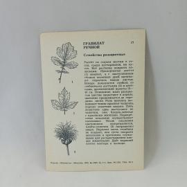 Картинка 2