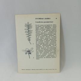 Картинка 2