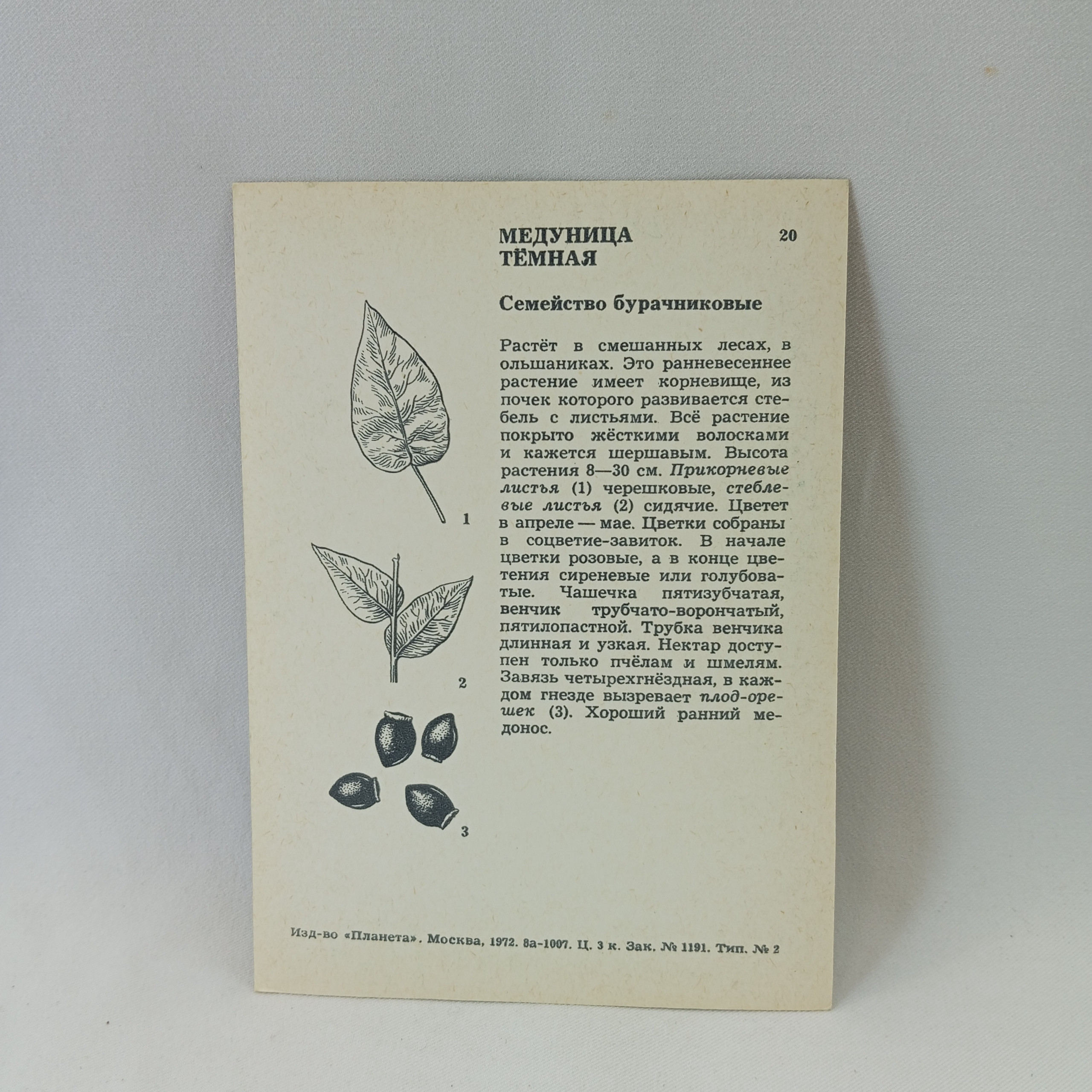 Картинка 2