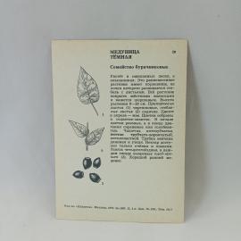 Картинка 2