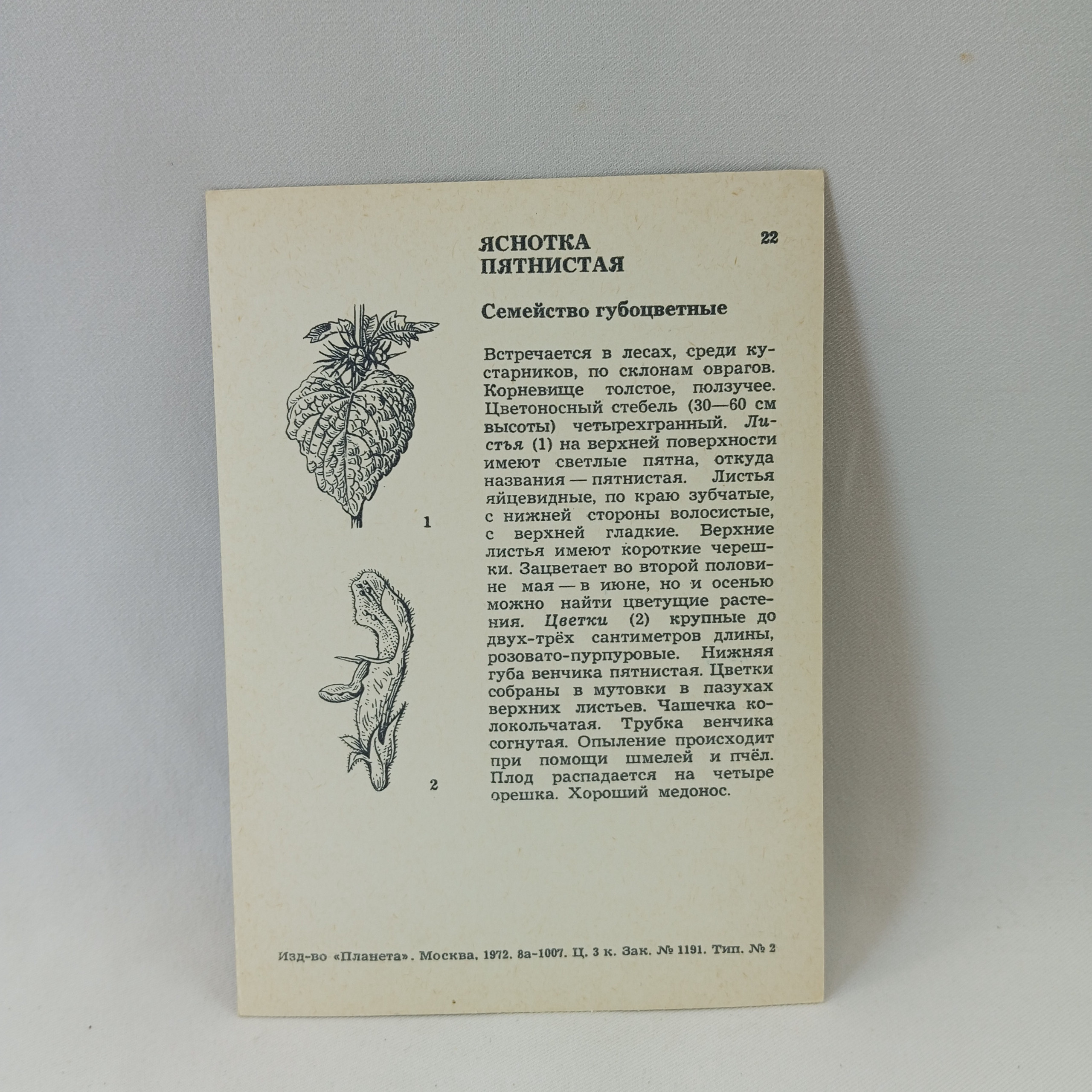Картинка 2
