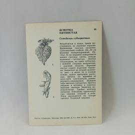 Картинка 2