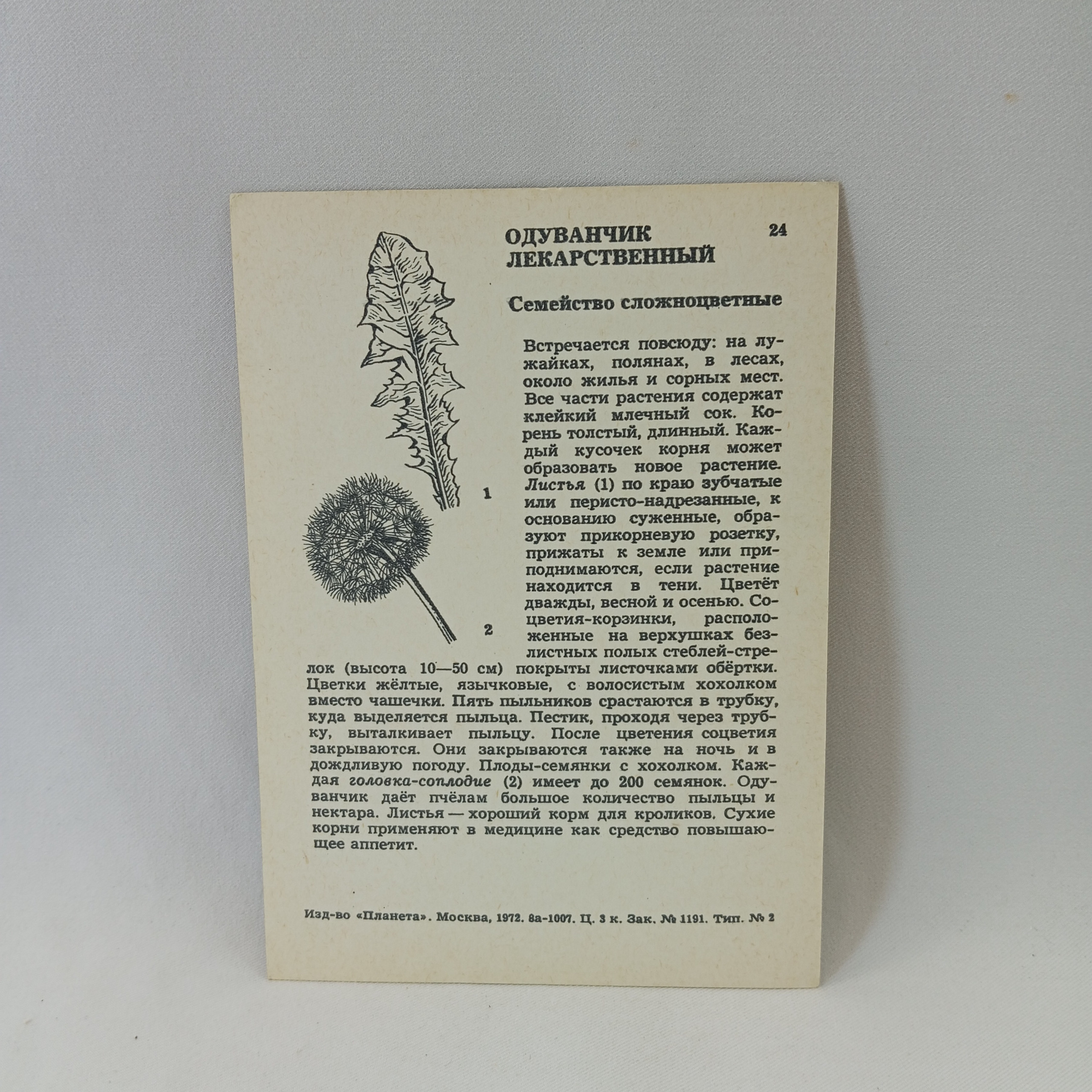 Картинка 2