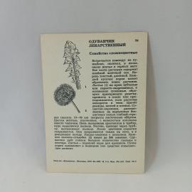 Картинка 2
