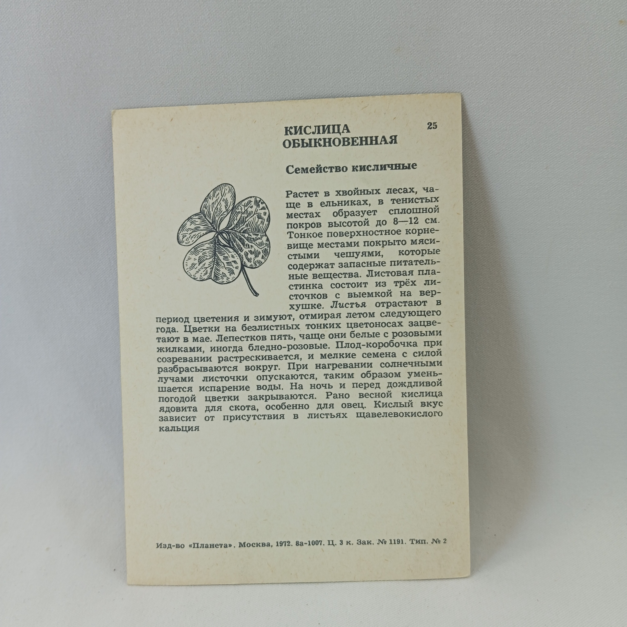 Картинка 2