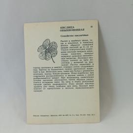 Картинка 2