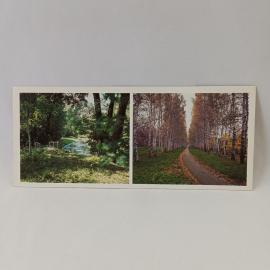 Открытка советская СССР. Ясная Поляна, березовый мостик и аллея усадьбы, природа, винтаж
