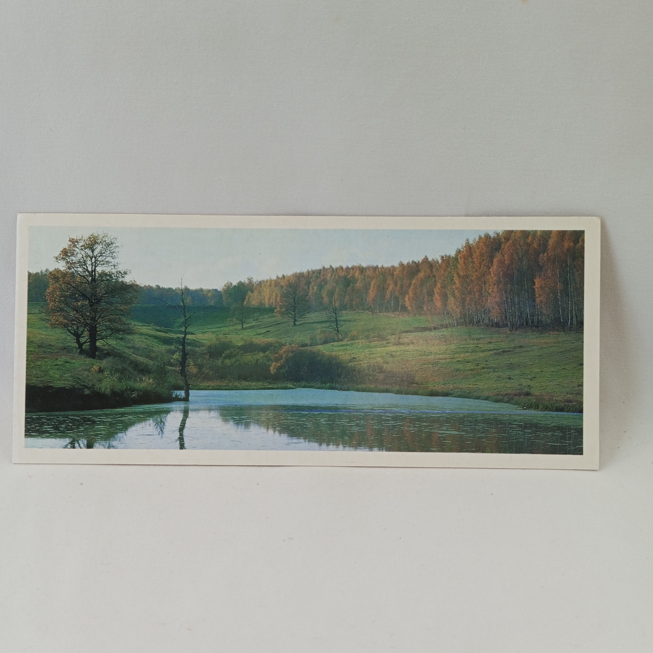 Картинка 1