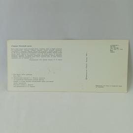 Картинка 2