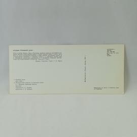 Картинка 2