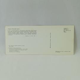 Картинка 2