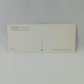 Картинка 2