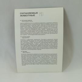 Картинка 2