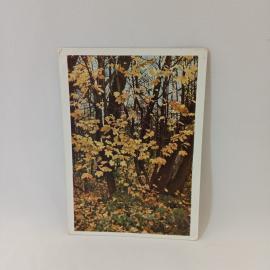 Открытка советская СССР. Спасское Лутовиново, уголок парка осенью, природа. Винтажная серия