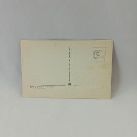 Картинка 2