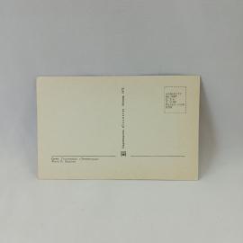 Картинка 2