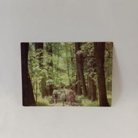 Открытка советская СССР. Орел, аллея парка усадьбы И. С. Тургенева в Спасском Лутовинове, винтаж
