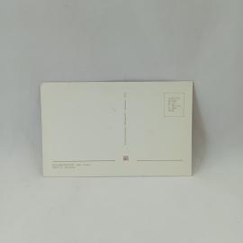 Картинка 2