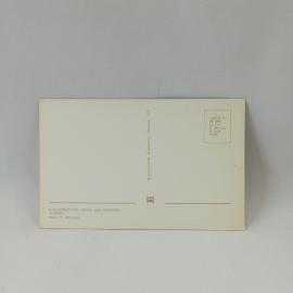 Картинка 2