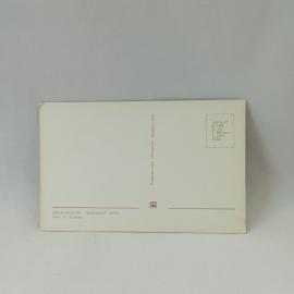 Картинка 2