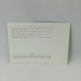 Картинка 2