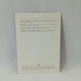 Картинка 2