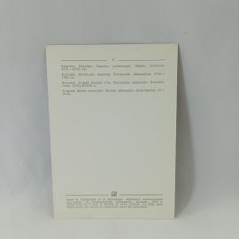 Картинка 2