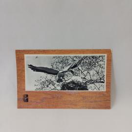 Открытка советская СССР. Аисты, птицы у гнезда, Брянский сувенир, фото Романова. Винтаж