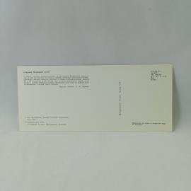 Картинка 2
