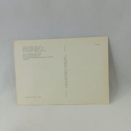 Картинка 2