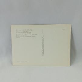 Картинка 2
