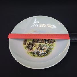 Картинка 5