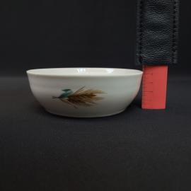 Картинка 10