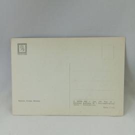 Картинка 2
