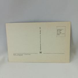 Картинка 2