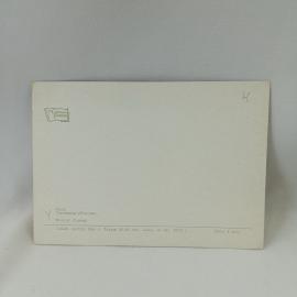 Картинка 2