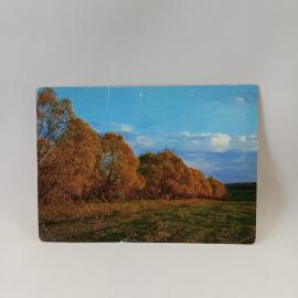 Открытка старинная. Старая дорога у Спасского Лутовинова, пейзаж, Тургенев, литература
