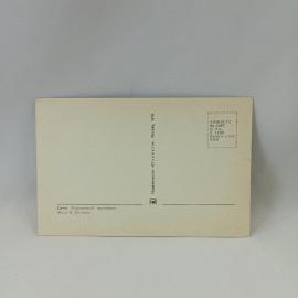 Картинка 2