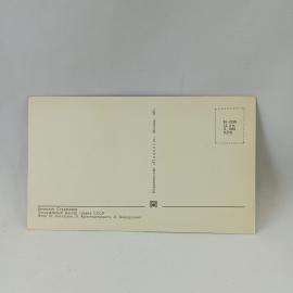Картинка 2