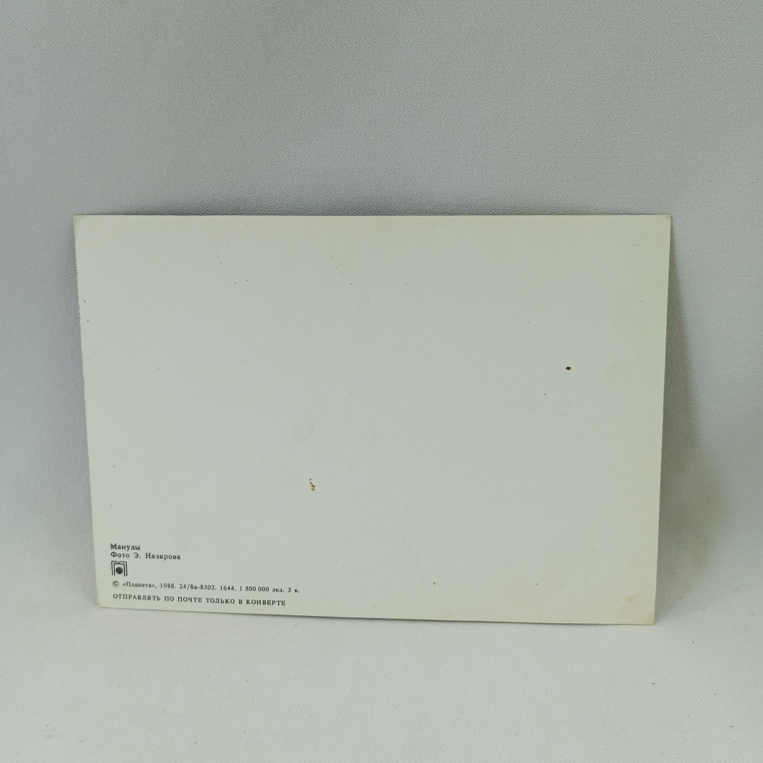 Картинка 2