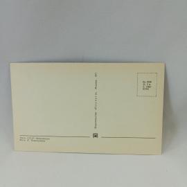 Картинка 2