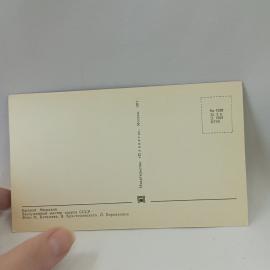 Картинка 2