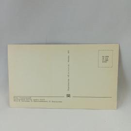 Картинка 2