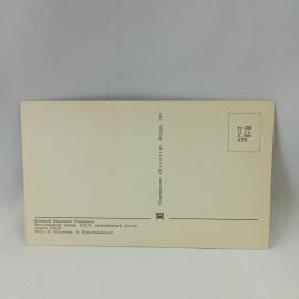 Картинка 2
