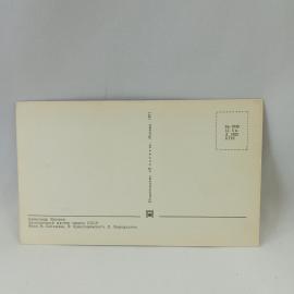 Картинка 2