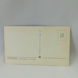Картинка 2